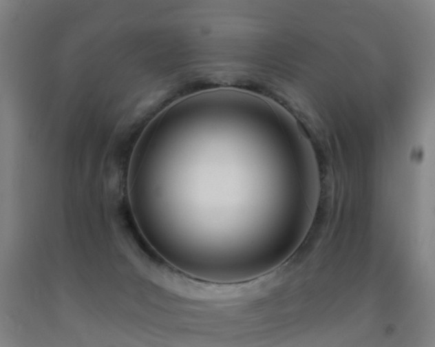 X0000093090031200709261238