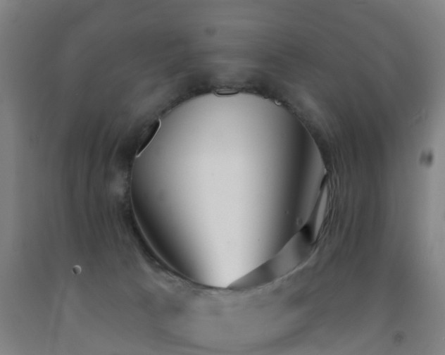 X0000093090033200709261238