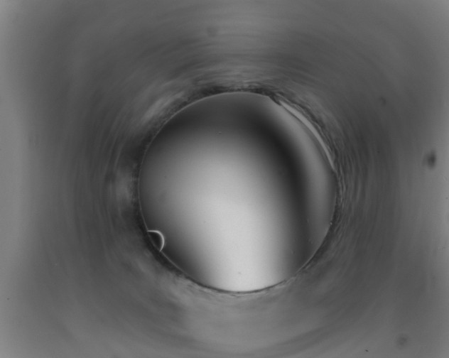 X0000093090035200709261238