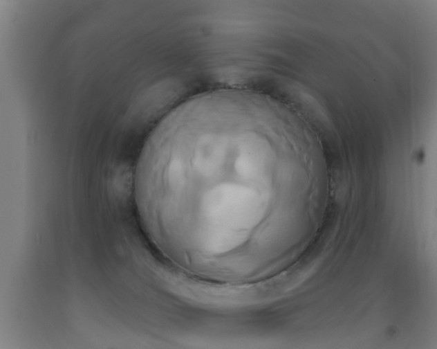 X0000093090036200709261238