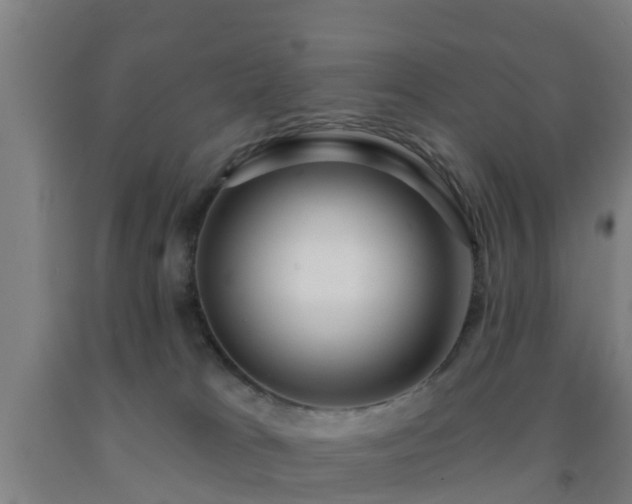 X0000093090037200709261238