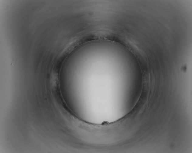 X0000093090038200709261238