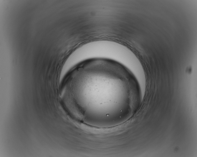 X0000093090039200709261238