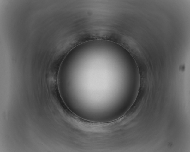 X0000093090040200709261238