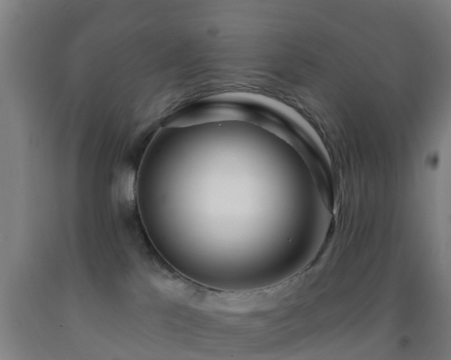 X0000093090041200709261238