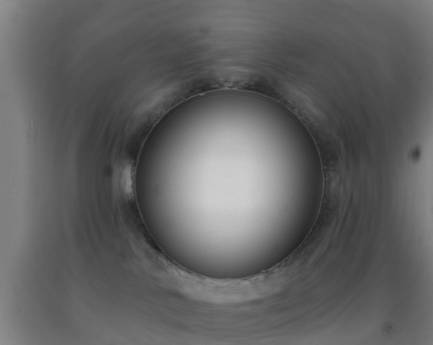 X0000093090042200709261238