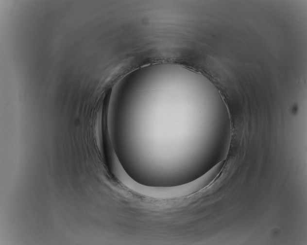 X0000093090045200709261238