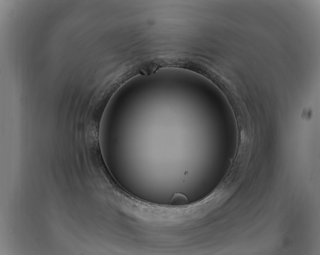 X0000093090048200709261238