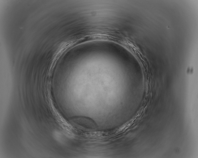 X0000093090049200709261237