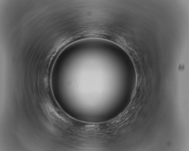X0000093090050200709261237