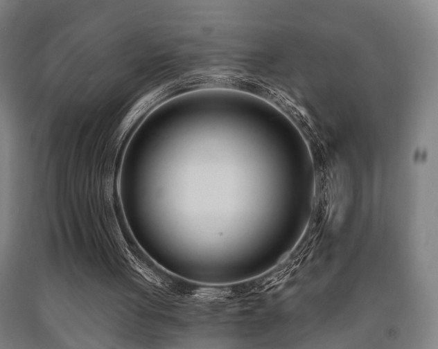 X0000093090051200709261237