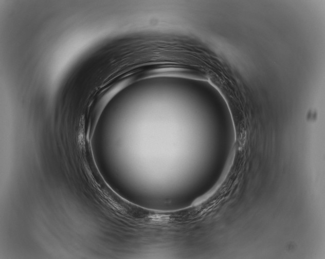 X0000093090052200709261237