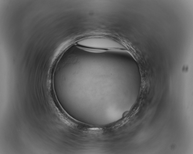 X0000093090053200709261237