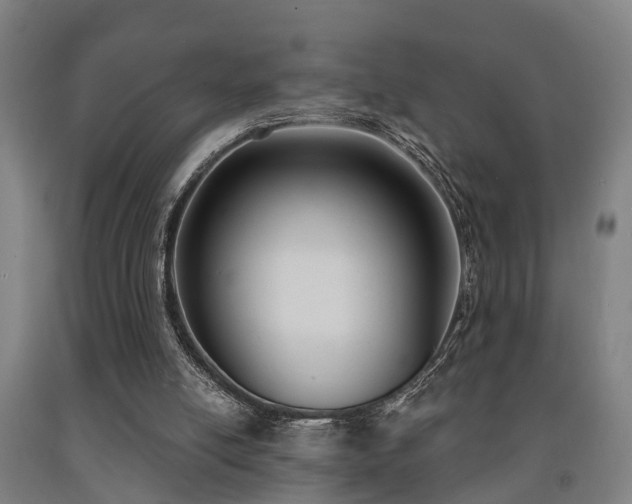X0000093090054200709261237