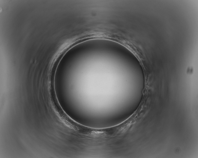 X0000093090055200709261237