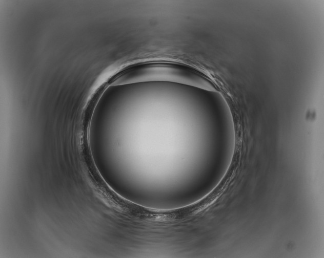 X0000093090056200709261237