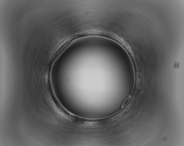 X0000093090057200709261237