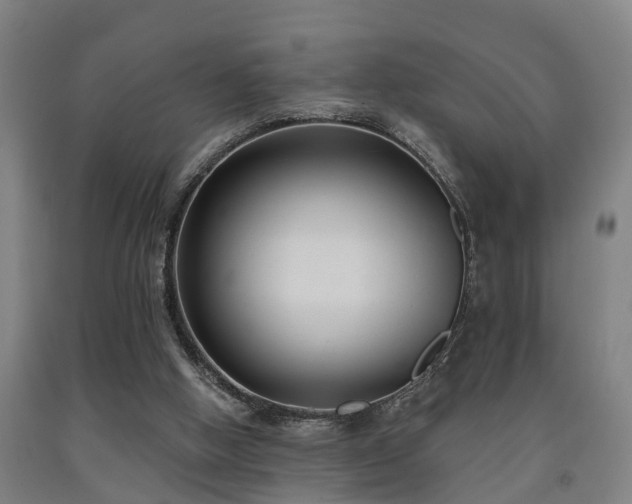 X0000093090058200709261237