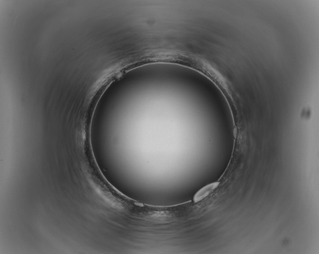 X0000093090059200709261237