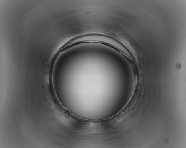 X0000093090060200709261237