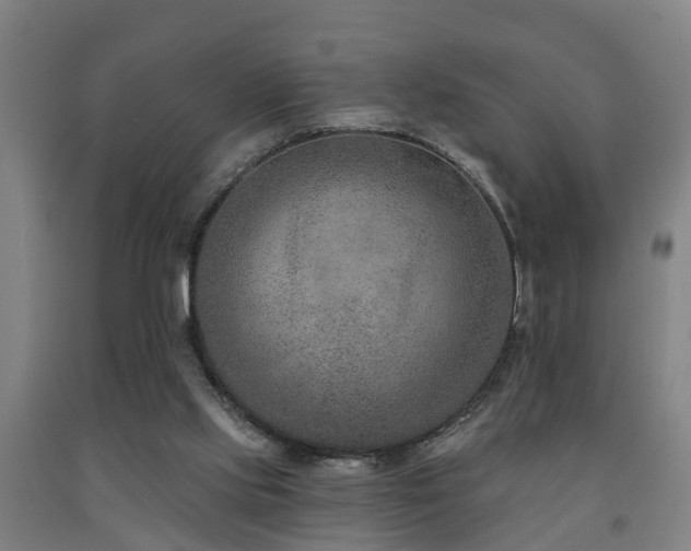 X0000093090061200709261237