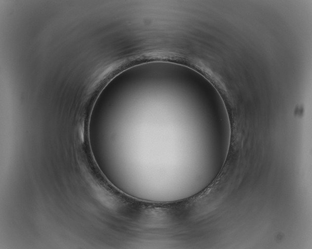 X0000093090062200709261237