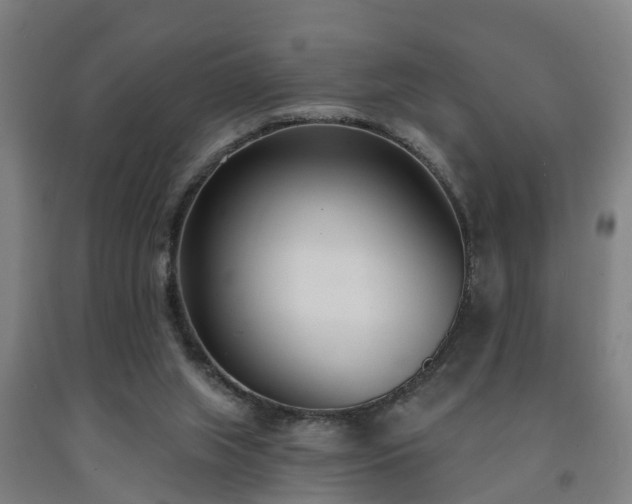 X0000093090063200709261237