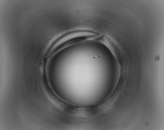 X0000093090064200709261237