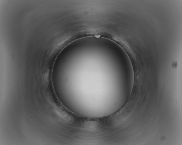 X0000093090066200709261237