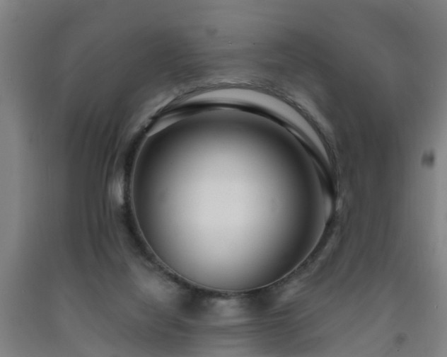 X0000093090068200709261237