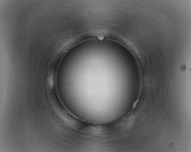 X0000093090069200709261237