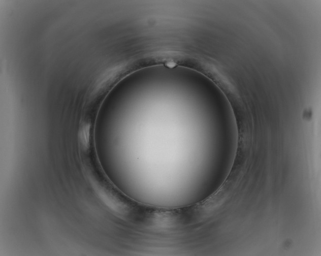 X0000093090070200709261237