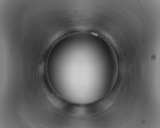 X0000093090071200709261237