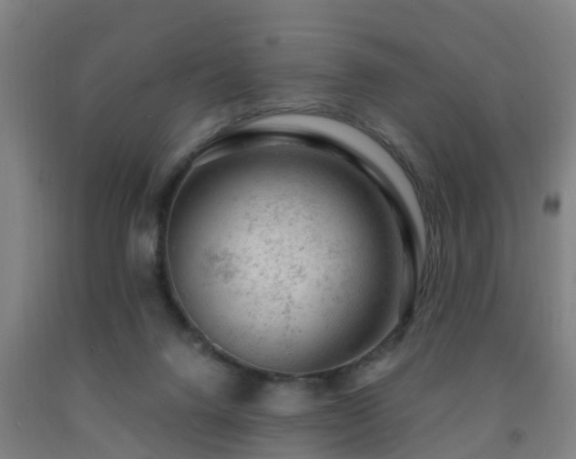 X0000093090072200709261237
