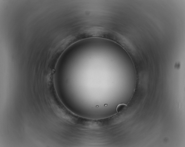 X0000093090073200709261237