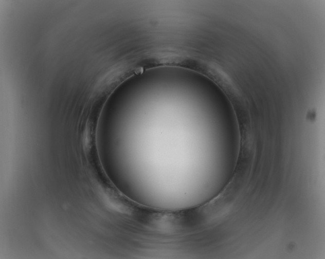 X0000093090074200709261237