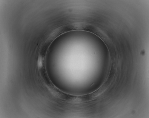 X0000093090075200709261237