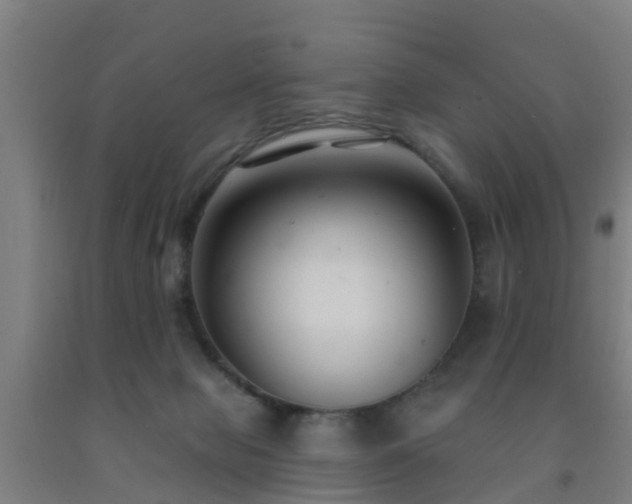 X0000093090077200709261237