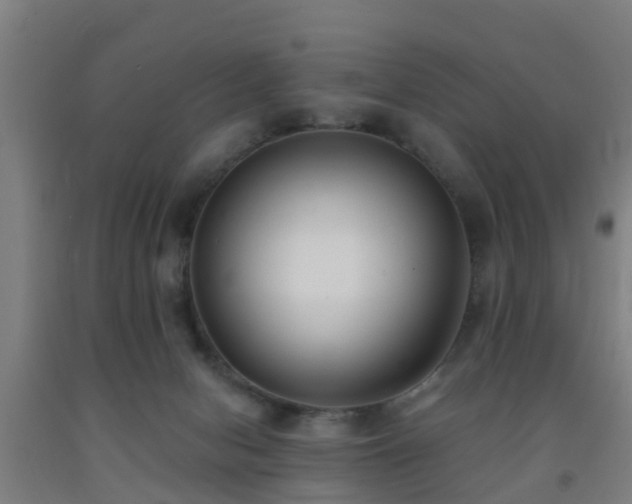 X0000093090078200709261237
