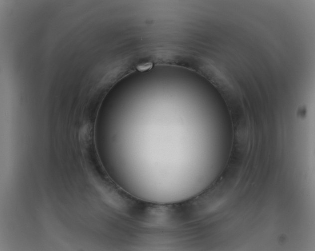 X0000093090079200709261237
