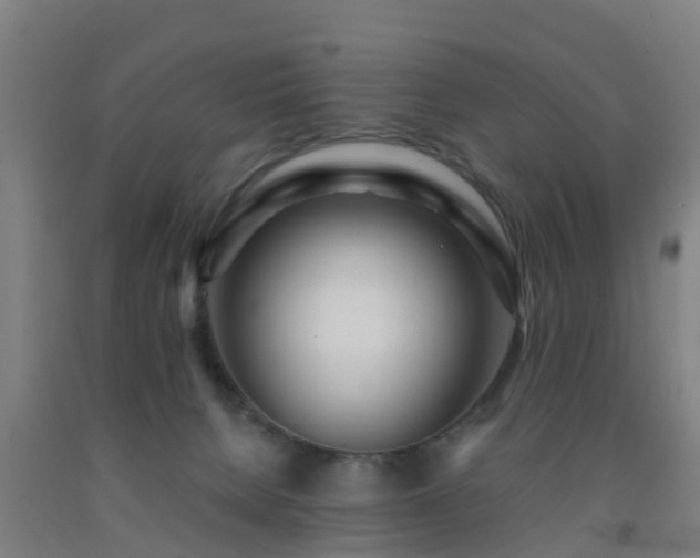 X0000093090080200709261238