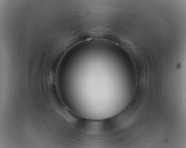 X0000093090081200709261238
