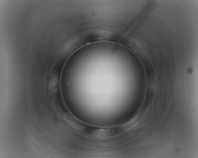 X0000093090082200709261238