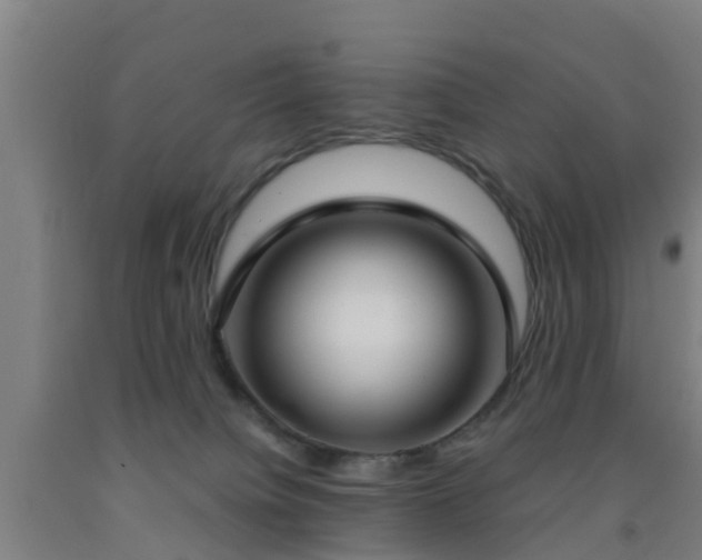 X0000093090084200709261238