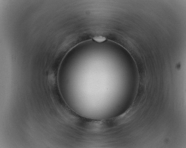 X0000093090086200709261238