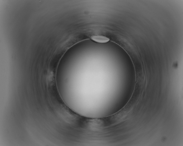 X0000093090087200709261238