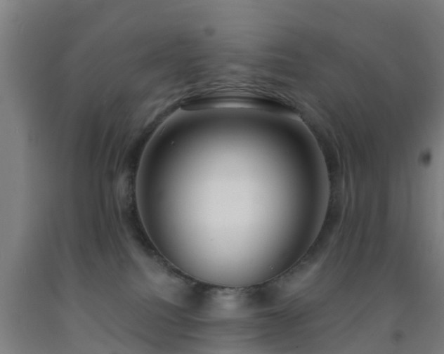 X0000093090088200709261238