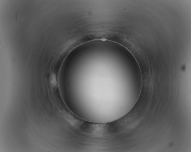 X0000093090089200709261238