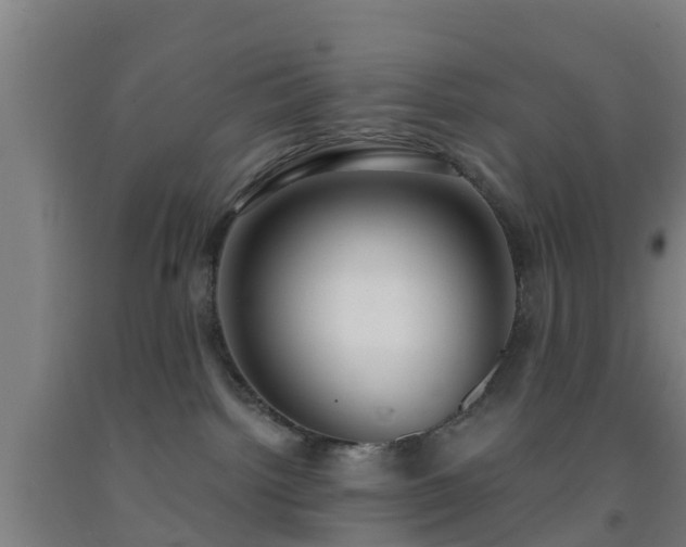X0000093090092200709261238