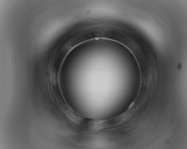 X0000093090093200709261238